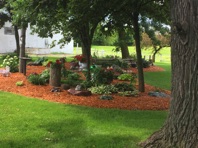 IMG_2775.jpg IMG_2775.jpg