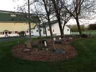 IMG_5987.jpeg IMG_5987.jpeg