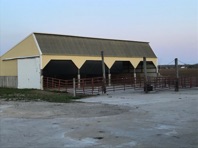 IMG_5994.jpeg IMG_5994.jpeg