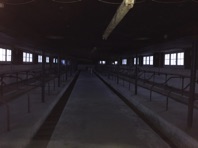 IMG_5997.jpeg IMG_5997.jpeg